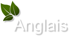 Anglais