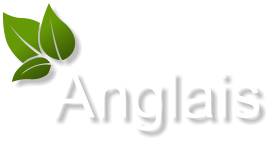 Anglais